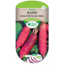 RADIS ROSE D HIVER DE CHINE cat1
