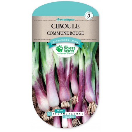 CIBOULE COMMUNE ROUGE CIBOULE COMMUNE ROUGE