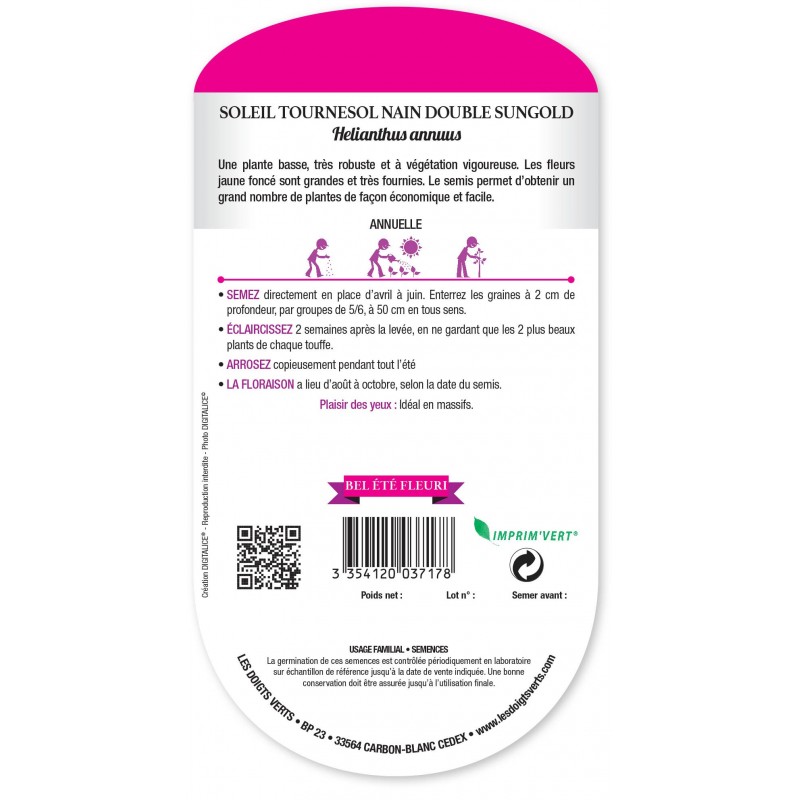 SOLEIL TOURNESOL NAIN DOUBLE SUNGOLD SOLEIL TOURNESOL NAIN DOUBLE SUNGOLD