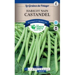 HARICOT NAIN CASTANDEL cat3