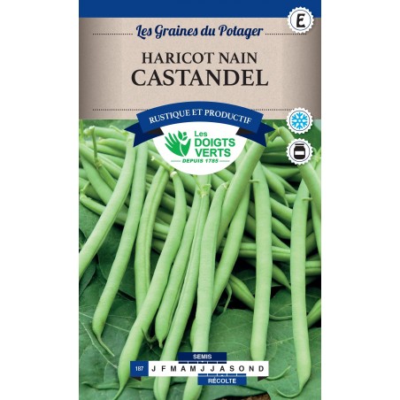 HARICOT NAIN CASTANDEL cat3 HARICOT NAIN CASTANDEL cat3