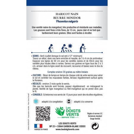 HARICOT NAIN BEURRE MINIDOR cat3 HARICOT NAIN BEURRE MINIDOR cat3