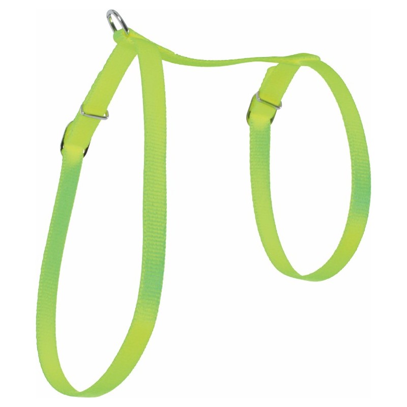 HARNAIS NYLON CHAT HARNAIS NYLON CHAT