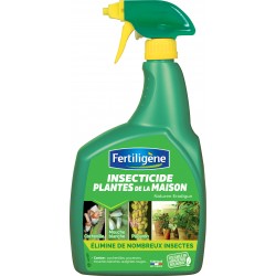 INSECTE PLANTES DE LA...