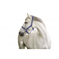 LICOL MUSTANG DOUBLE...