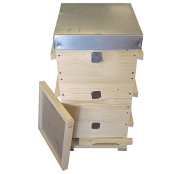 RUCHE WARRÉ 3 CORPS