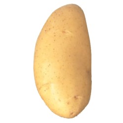 SAC POMMES DE TERRE SPUNTA...