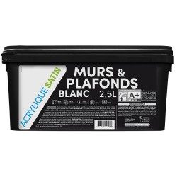 TDP MURS ET PLAFONDS SATIN...