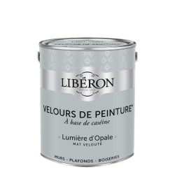 VELOURS DE PEINTURE LUMIERE...