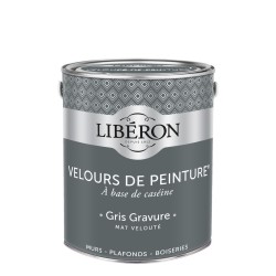 VELOURS DE PEINTURE GRIS...