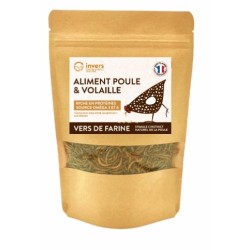 VERS DE FARINE DESHYDRATES...