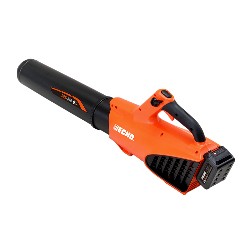 SOUFFLEUR A BATTERIE DPB310...