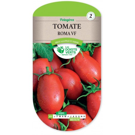 TOMATE ROMA cat2 TOMATE ROMA cat2