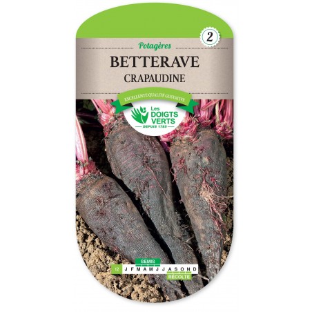 BETTERAVE CRAPAUDINE CAT2 BETTERAVE CRAPAUDINE CAT2