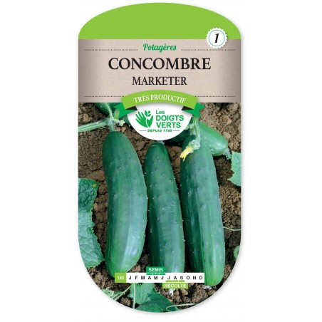 CONCOMBRE MARKETER CAT1 CONCOMBRE MARKETER CAT1