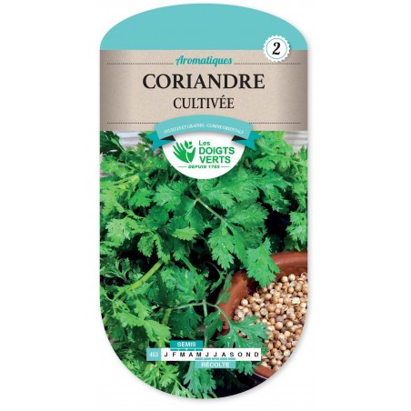 CORIANDRE CULTIVEE CAT2 CORIANDRE CULTIVEE CAT2