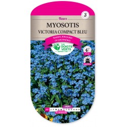 MYOSOTIS VICTORIA COMPACT BLEU CAT3