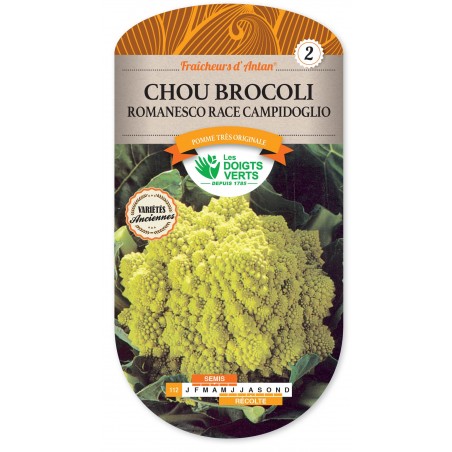 CHOU BROC ROMANESCO R CAMPIDOG ANTAN cat2 CHOU BROC ROMANESCO R CAMPIDOG ANTAN cat2