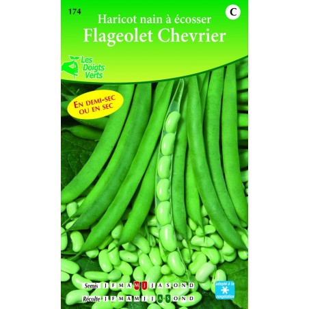 HARICOT NAIN FLAGEOT CHEVRIER catD HARICOT NAIN FLAGEOT CHEVRIER catD