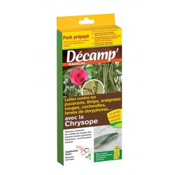 CHRYSOPES 50M² - DECAMP'