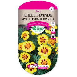 ŒILLET D'INDE SIMPLE LÉGION...