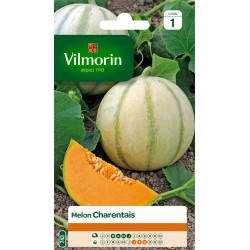 MELON CHARENTAIS - VILMORIN