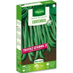 HARICOT CONTENDER +...