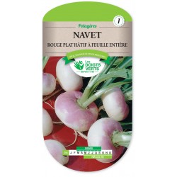 NAVET ROUGE PLAT HATIF FEUILLE ENTIERE