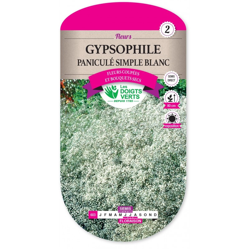 GYPSOPHILE PANICULE SIMPLE BLANC cat2