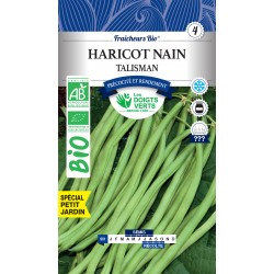 HARICOT NAIN TALISMAN BIO -...