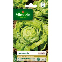 LAITUE APPIA - VILMORIN