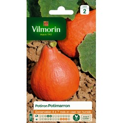 POTIRON POTIMARRON - VILMORIN