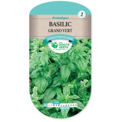 BASILIC GRAND VERT -...
