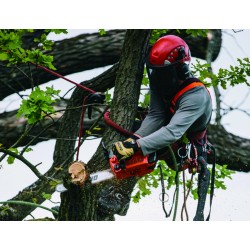 TRONCONNEUSE CS 303T - ECHO