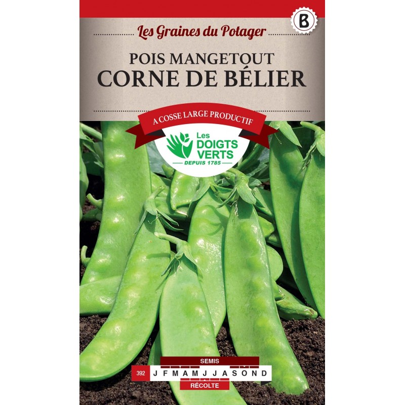 POIS MANGETOUT CORNE DE BELIER 250GR catB