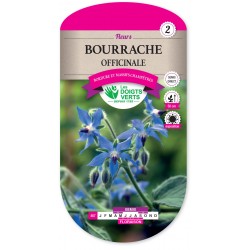 BOURRACHE OFFICINALE CAT2
