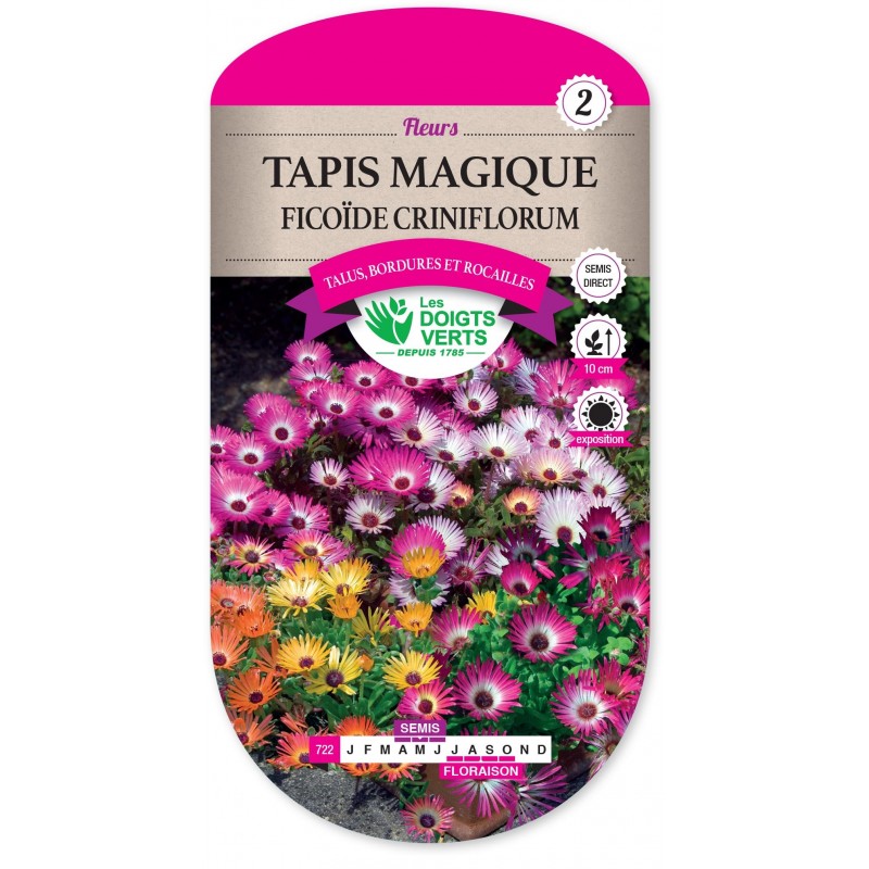 TAPIS MAGIQUE FICOÏDE CRINIFLORUM cat2