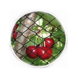 FILET ANTI-OISEAUX 4X5M...