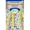 HARICOT NAIN BLANC MOGEX 200G catD