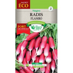 RADIS FLAMBO CAT3