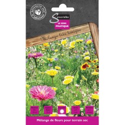 MELANGE DE FLEURS POUR TERRAIN SEC cat2