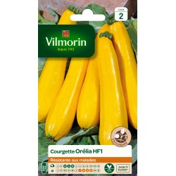 COURGETTE ORELIA HF1 -...