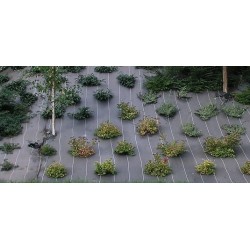 TOILE DE PAILLAGE 1X10M...