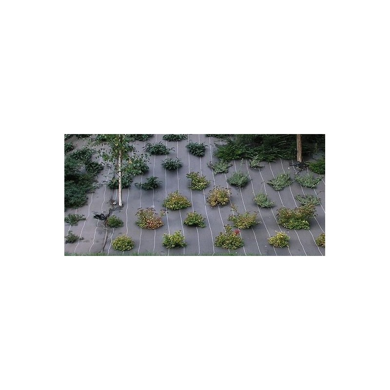TOILE DE PAILLAGE 1M ROULEAU 25M 130G/M2 VERT PE TOILE DE PAILLAGE 1M ROULEAU 25M 130G/M2 VERT PE