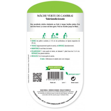 MACHE VERTE DE CAMBRAI cat1 MACHE VERTE DE CAMBRAI cat1