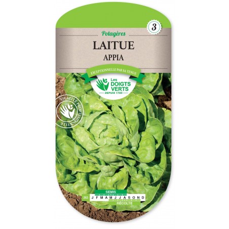LAITUE APPIA LAITUE APPIA