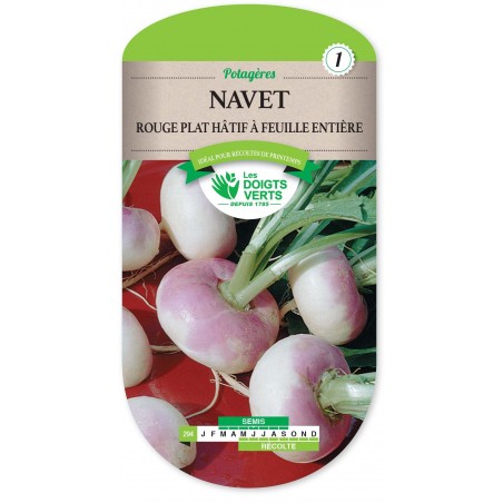 NAVET ROUGE PLAT HATIF FEUILLE ENTIERE NAVET ROUGE PLAT HATIF FEUILLE ENTIERE