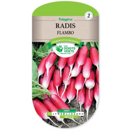 RADIS FLAMBO cat2 RADIS FLAMBO cat2