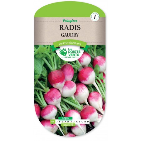 RADIS GAUDRY A FORCER cat1 RADIS GAUDRY A FORCER cat1