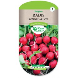 RADIS ROND ECARLATE HATIF cat1